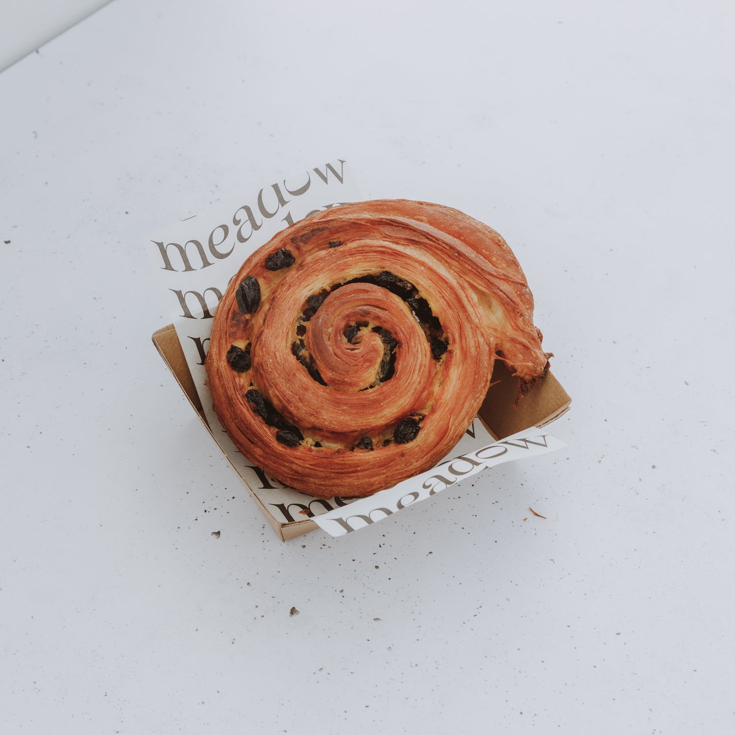 Raisin Snail